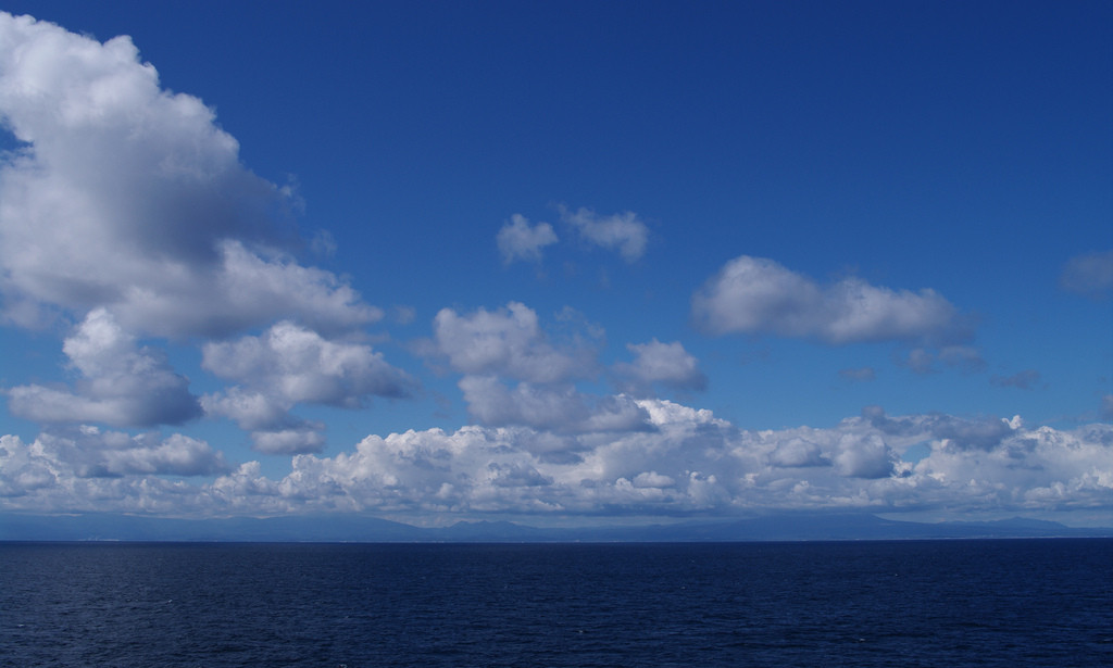 サンプル５５５５